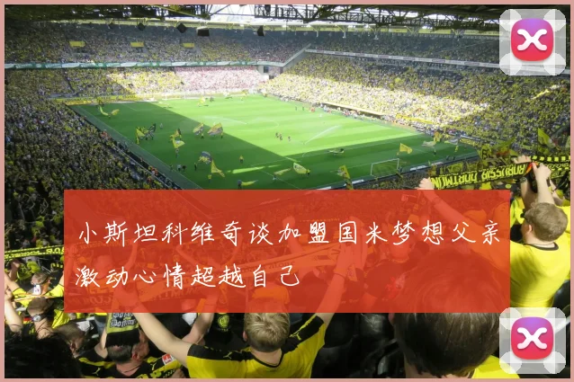 小斯坦科维奇谈加盟国米梦想父亲激动心情超越自己